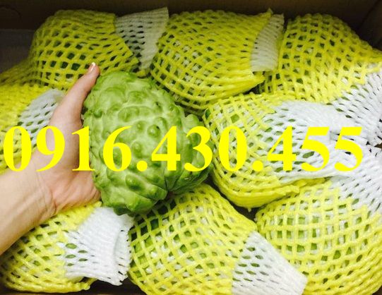 Cây giống na dai